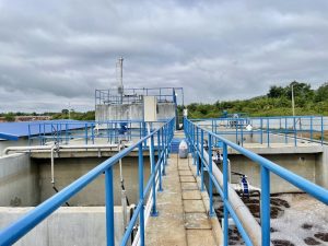 Hệ xử lý nước thải chăn nuôi heo trại Dehues