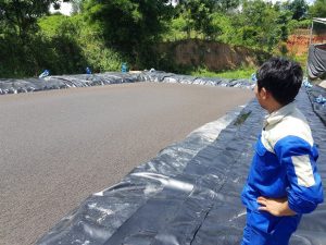 Trại heo Tám Do Bầu Cạn Đồng Nai 100m3