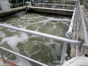 Sheen Brigge Sản xuất và sinh hoạt 2000m3 ngày đêm