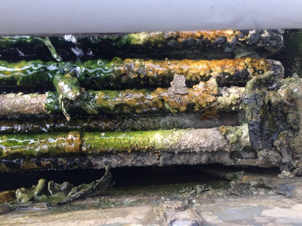 Chemicals to kill algae and algae in the cooling tower cooling tower