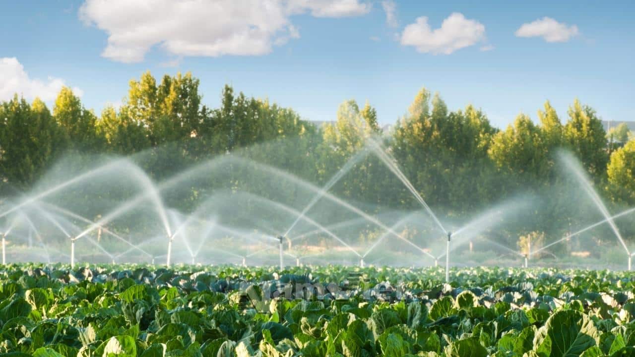 Lợi ích của việc xử lý nước thải sinh hoạt đúng tiêu chuẩn